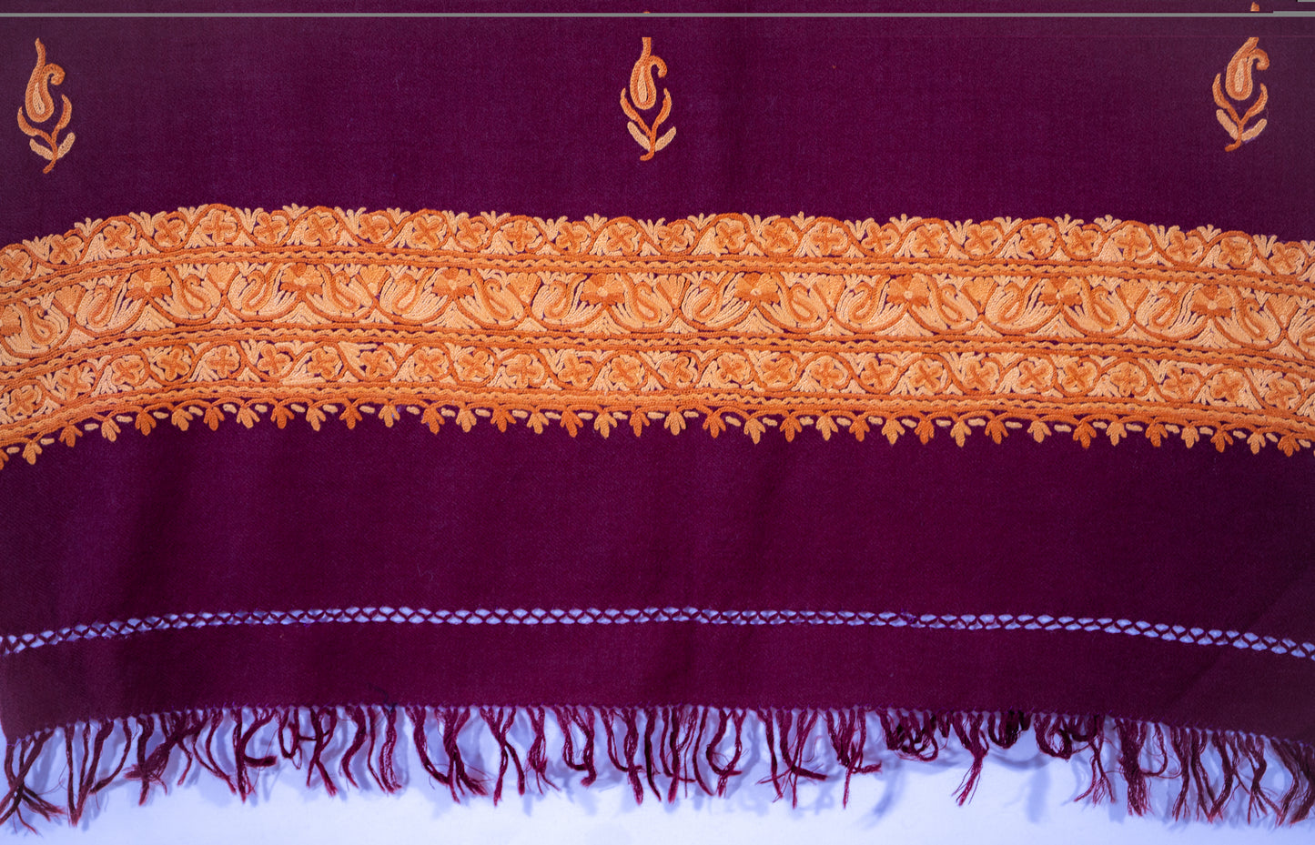 Pashmina Shawl - Purple with light Purple Boundary